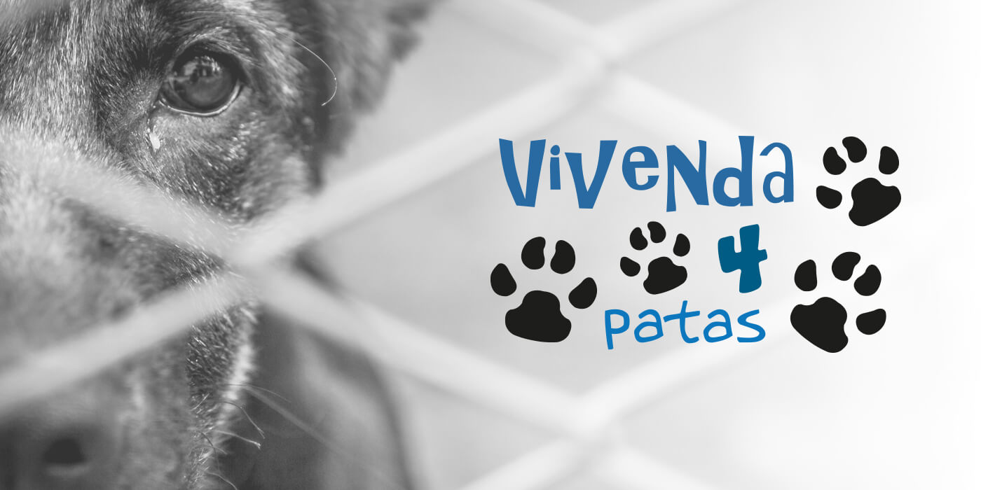 Vivenda 4 Patas